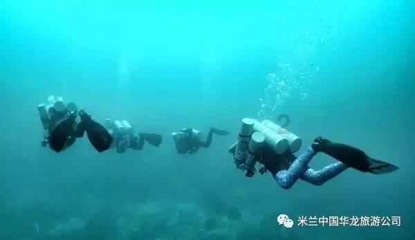 精灵的故事